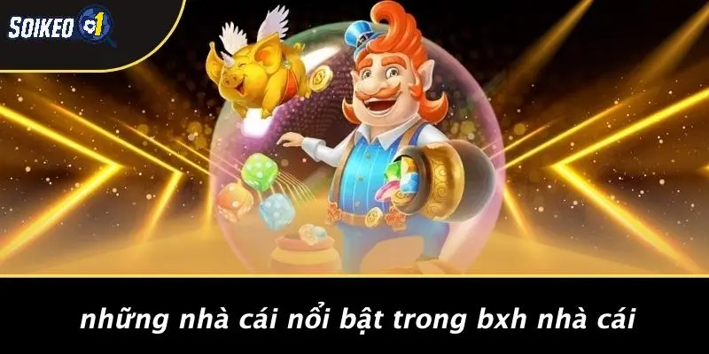 Những Nhà Cái Nổi Bật Trong BXH Nhà Cái
