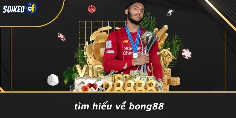 Tìm Hiểu Về Bong88