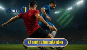 Kỹ thuật đánh chặn bóng