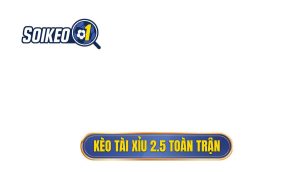 Kèo tài xỉu 2.5 toàn trận