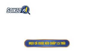 Mẹo cá cược kèo chấp 1.5 trái