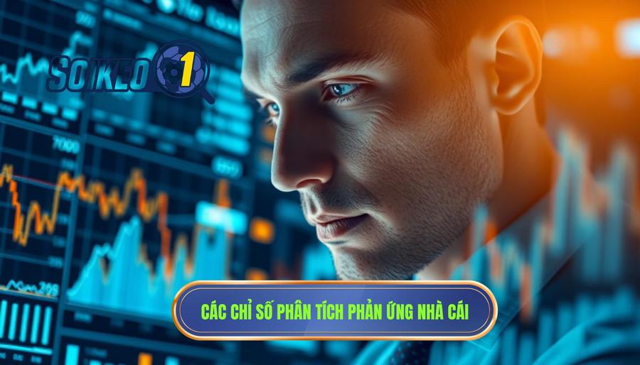 Các chỉ số quan trọng khi phân tích phản ứng nhà cái